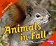 Animals in Fall (Pebble Plus)