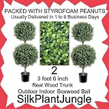1 lot of 2 Artificial Outdoor Indoor 3 foot 6 inch Boxwood Ball Topiary Trees, potted in nursery pot, real wood trunk, packed with peanuts