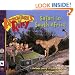Safari In South Africa (Adventures Of Riley)