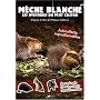 M�che Blanche : Les aventures du petit castor