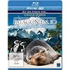 Patagonien 3D - Auf den Spuren von Charles Darwin: Von Buenos Aires bis Cabo dos Bahias [3D Blu-ray]