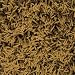 Dalyn Illusions Gold Rug