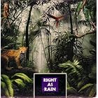 Right As Rain by  Animal Logic, Beausoleil, Micky Hart, Chuck Jonkey, and Derrik Jordan 