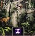 Music : Right As Rain