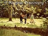 A Magical Discovery