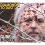 Diamonds to Dust ~ Gurf Morlix