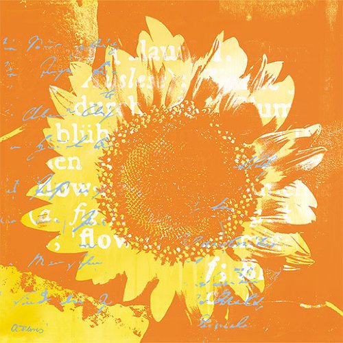 Eurographics ANF1187 Anna Flores, Heliantype Orange Blue 30 x 30 cm, Hochwertiger Kunstdruck - Sonnenblumen