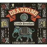 Little Brother