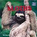 Sloths (Paws and Claws)