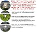 Book The Ultimate Make An Extra Income, Inner Game and Accounting & Finance for Bridal Shower Games On-line Biz Package (3 CDs)