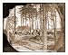 Civil War Photo (M): Brandy Station Va. Winter quarters of telegraphers and photograp...