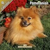 \"POMERANIAN