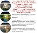 Search : Massive Cash Flow Pack with Earn More Money, Sucess Principles and eCommerce for Martial Arts Books On-line Businesses 3 Course Pack