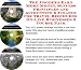 Book The Insider's Earn More Money, Success Principles and Accounting & Finance for Travel Brochures On-line Businesses 3 Course Pack