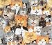 Happy Cats Gift Wrapping Paper