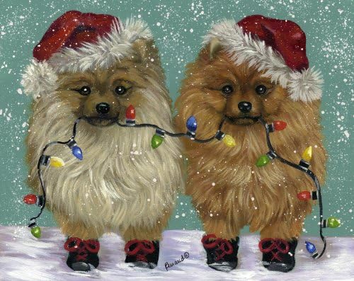 Pomeranian Light Up!-GC