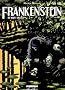Frankenstein, Tome 2 :