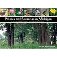 Prairies and Savannas in Michigan: Rediscovering Our Natural Heritage by Ryan O'Connor, Michael A. Kost, and Joshua G. Cohen