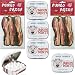 Bacon Car Air Freshener & Oinker's Bacon Flavored Mints