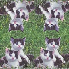 4 Motiv-Servietten Little Cats