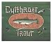 Cutthroat Trout - Artist: Susan Clickner - Art Print Poster Size: 15.00 by 12.00 inches