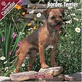 BORDER TERRIER DOG 2009 WALL CALENDAR NEW SEALED