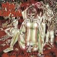 Reduced to a Limbless Sexslave [Explicit]