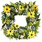 Shasta Daisy Square - 17