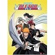 Bleach Ichigo Team Byakuya Rengi Cloth Wall Scroll Poster Ge-9713