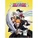 Bleach Ichigo Team Byakuya Rengi Cloth Wall Scroll Poster Ge-9713