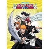 Bleach Ichigo Team Byakuya Rengi Cloth Wall Scroll Poster Ge-9713