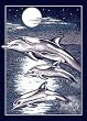 Animal Area Rug, Home Dynamix Zone Navy Blue Dolphin