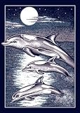 Animal Area Rug, Home Dynamix Zone 5'x8' Navy Blue Dolphin