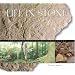 Life in Stone: Fossils of the Colorado Plateau