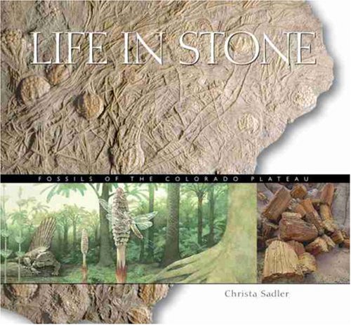 life in stone fossils of the colorado plateau