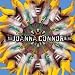 Joanna Connor Band