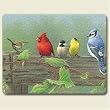 Large Cutting Board ~ Rail Birds~ made of tempered glass ~ code 221