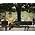 Thumbnail image of Melody Gardot