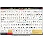 Official American Kennel Club AKC All Breed Poster