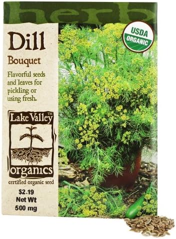 Lake Valley Seed - Organic Dill Bouquet Seeds - 500 mg.