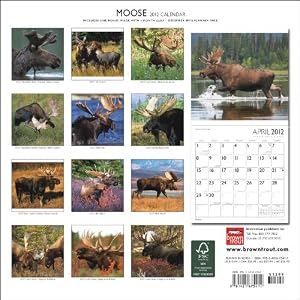 Moose 2012 Calendar (Oneworld)
