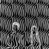 Zebra [7" VINYL]