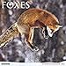 2016 Foxes Wall Calendar
