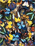 Springbok Butterfly Mania Jigsaw Puzzle 500pc