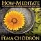 How to Meditate with Pema Chodron