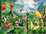 Tropical Rainforest - B0002HWHFC