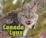 Canada Lynx (Pebble Plus)