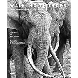 walking thunder in the footsteps of the african elephant