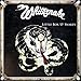 Little Box 'O' Snakes - The Sunburst Years 1978-1982