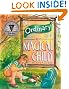 An Ordinary Girl - A Magical Child